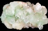 Zoned Apophyllite Crystals with Stilbite - India #44412-1